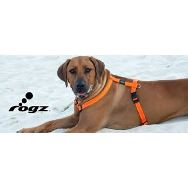 Rogz H Harness Orange Color  (Large : 45-75cm )